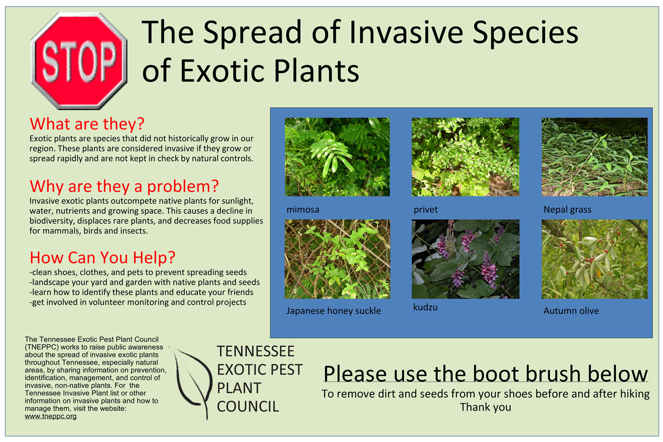 Disentangling The Effects Of Plant Species Invasion And